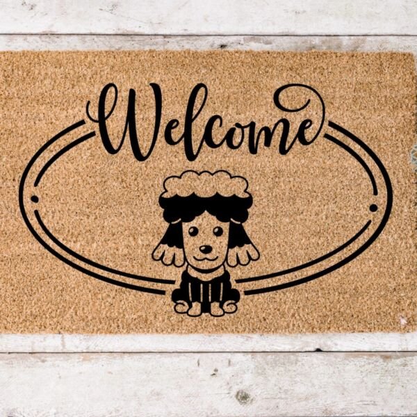 Welcome Barboncino