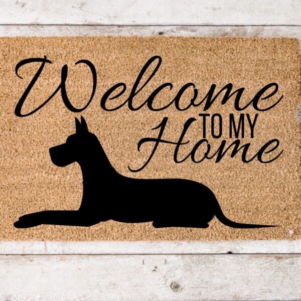 Welcome Alano