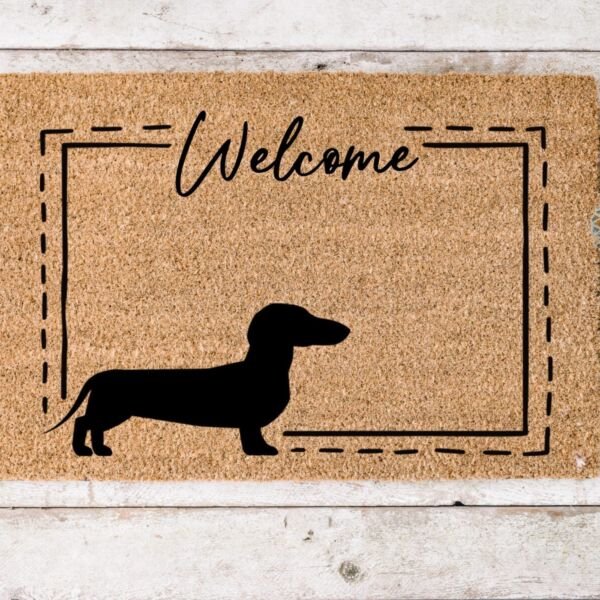 Welcome Bassotto