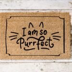 I'm So Purrfect