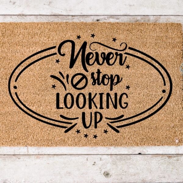 Never Stop Looking Up