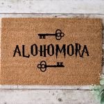 Zerbino Alohomora