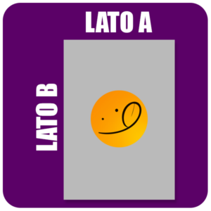 Orientamento Verticale
